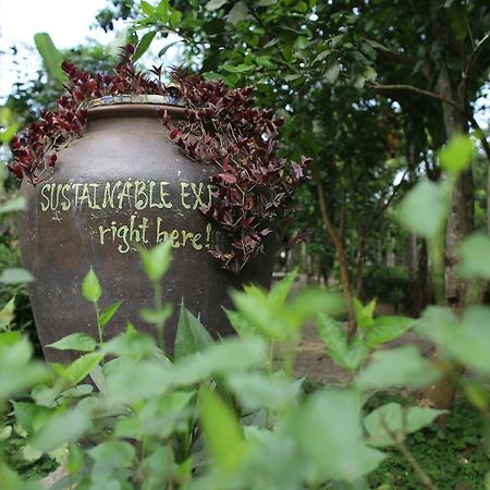 Thuy Bieu Homestay Huế Kültér fotó