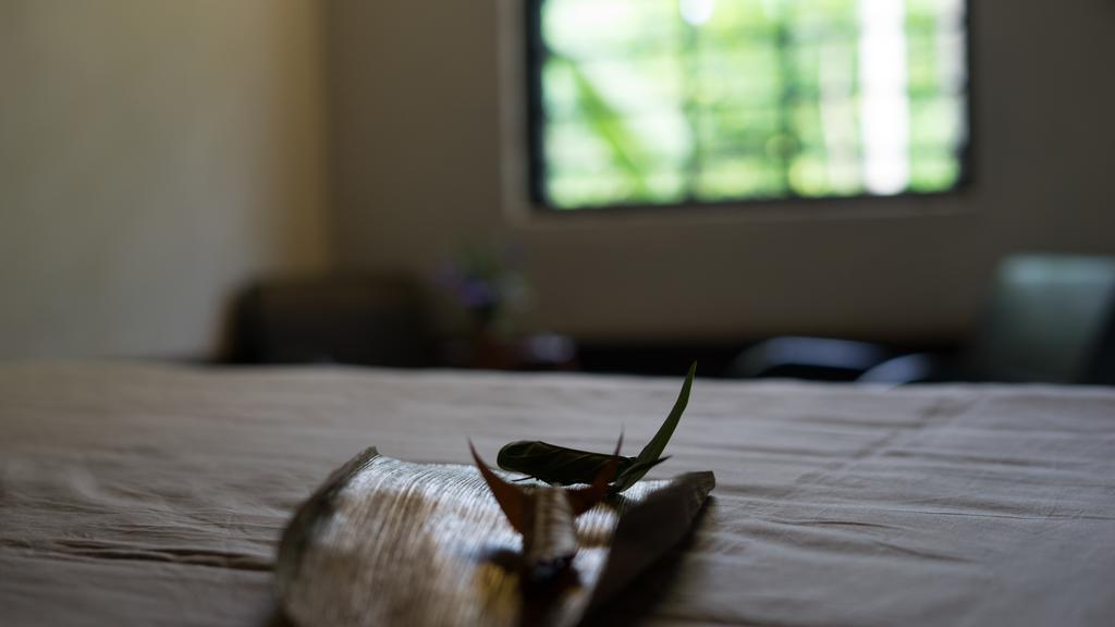 Thuy Bieu Homestay Huế Kültér fotó