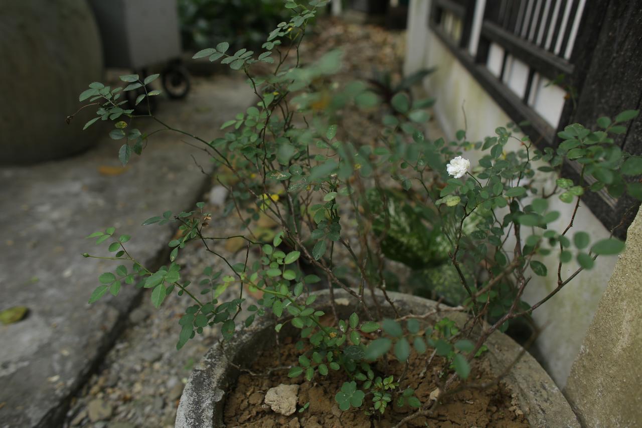 Thuy Bieu Homestay Huế Kültér fotó